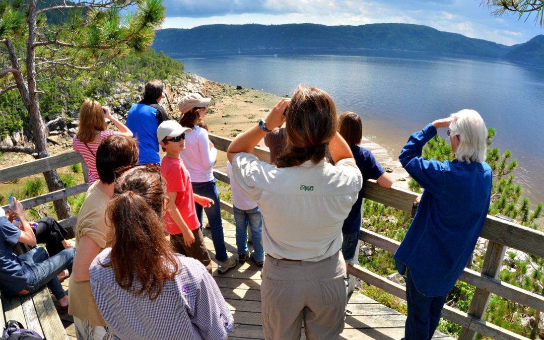 Projet d&rsquo;enquêtes sur la main-d&rsquo;oeuvre