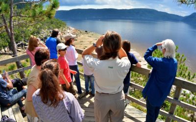 Projet d&rsquo;enquêtes sur la main-d&rsquo;oeuvre